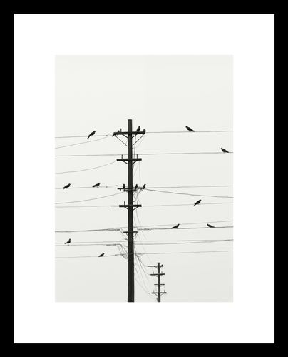 Plakat 13x18cm Symfonia na Drutach na Arena.pl