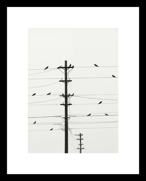 Plakat 13x18cm Symfonia na Drutach zdjęcie 3