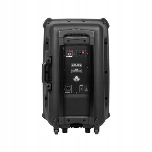 Głośnik Bluetooth 30cm USB Mikrofony Karaoke na Arena.pl