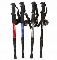 KIJKI DO CHODZENIA NORDIC WALKING KIJE TREKKINGOWE SKŁADANE 3 KOŃCÓWKI