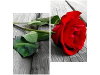 product-compare-58647226