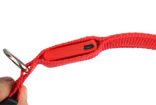 Obroża Opaska LED dla Kota Świecąca Micro USB r. M na Arena.pl
