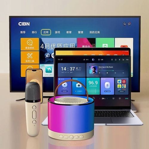 ZESTAW KARAOKE 2 MIKROFONY BEZPRZEWODOWY PRZENOŚNY GŁOŚNIK BLUETOOTH LED na Arena.pl