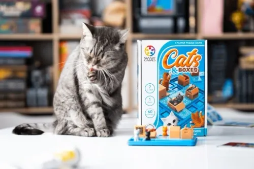 Cats & Boxes Smart Games (ENG) IUVI Games na Arena.pl