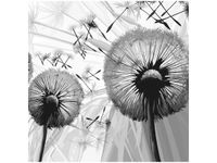 40CM 40CM OBRAZEK DMUCHAWCE SZAROŚCIACH DRUK PŁÓTNO OBRAZ