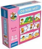Gra CO ROBI MIS? 03529