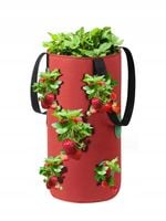 Doniczka WISZĄCA Worek POMIDORKI Warzywa TRUSKAWKI KIESZENIE 35cm