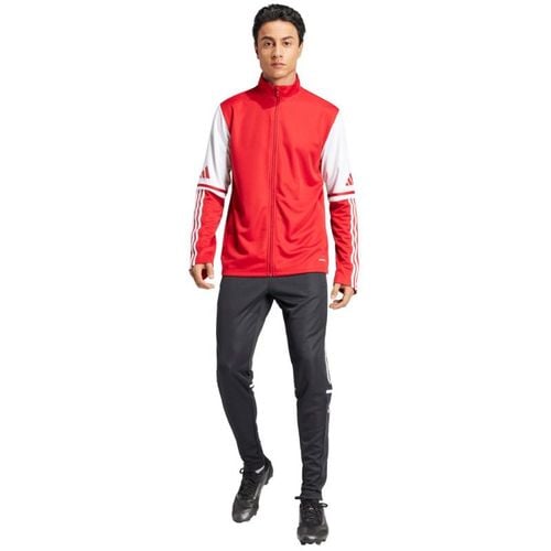 Bluza adidas Squadra 25 Training M JD2979 S na Arena.pl