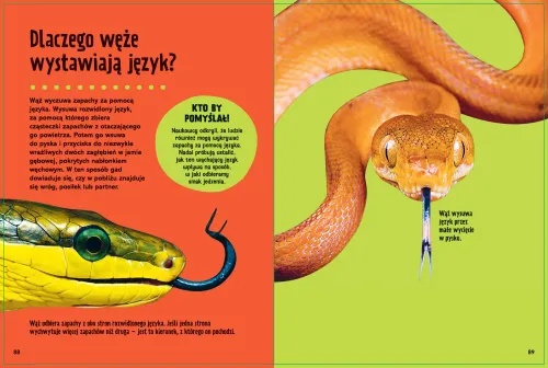 Britannica. Wielka księga pytań dlaczego? na Arena.pl