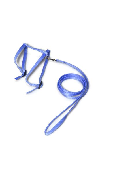 A-059 KOMPLET DLA KOTA V.2 Kolor - Błękitny zdjęcie 1