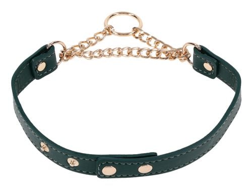 Day Collar na Arena.pl