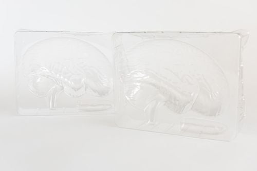 lisciani crazy science laboratorium anatomii 7099 na Arena.pl