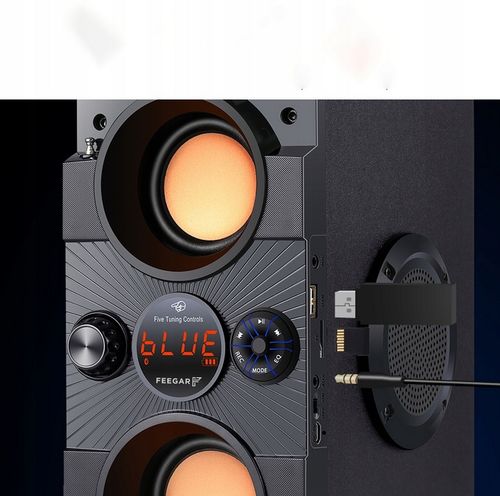 Głośnik przenośny Feegar DANCE czarny 30 W bluetooth na Arena.pl