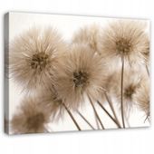 Obraz Na Płótnie Do Sypialni Salonu Dmuchawce 60x40