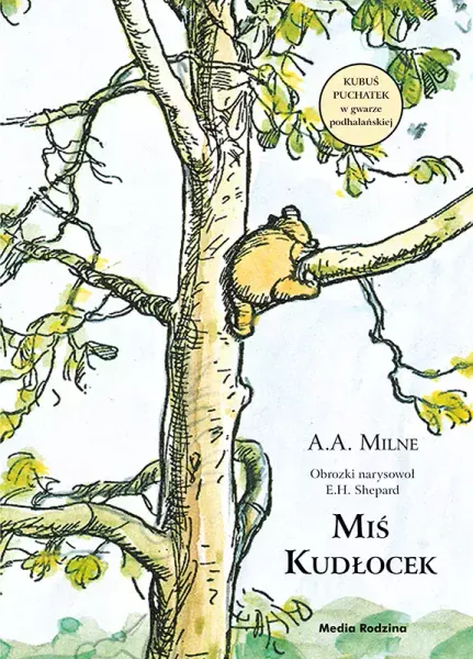 Miś Kudłocek zdjęcie 1