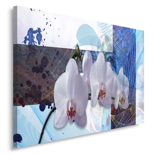 Obraz na płótnie - Canvas, Storczykowa kompozycja 40x30 na Arena.pl