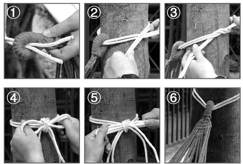 Hamak ogrodowy EDEN MARINE w paski na Arena.pl