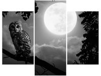 product-compare-58710971