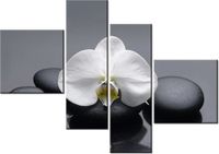 100 70CM OBRAZ 4 ELEM BIAŁY STORCZYK DRUK PŁÓTNO RAMA