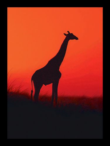 Plakat 13x18cm Żyrafa w Czerni na Arena.pl