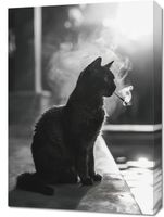 Obraz 50x70cm Kocia Przerwa