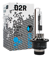 D2R Vision Żarnik Xenon Żarniki Palnik 5000K Żarówka ksenon
