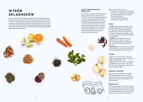 Kombucza, kefir i spółka. Fermentowane napoje z całego świata na Arena.pl