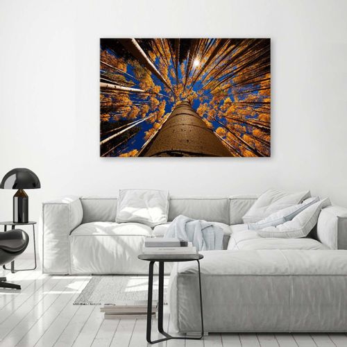 Emaga Obraz na płótnie, Korony drzew las - 60x40 na Arena.pl