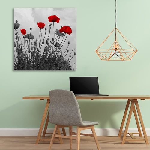 Deco Panel, Czerwone kwiaty maku 90x90 na Arena.pl