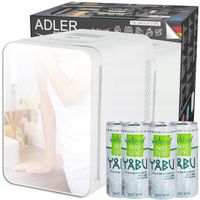 Mała lodówka turystyczna 4L samochodowa AC 12V DC 230V, chłodzenie grzanie