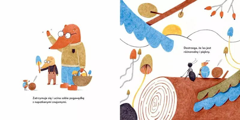 Żuk Hugo zdjęcie 3