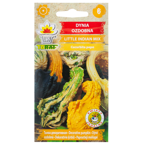 DYNIA OZDOBNA LITTLE INDIAN MIX 2G NASIONA MIX KOLORÓW I KSZTAŁTÓW DYNI na Arena.pl