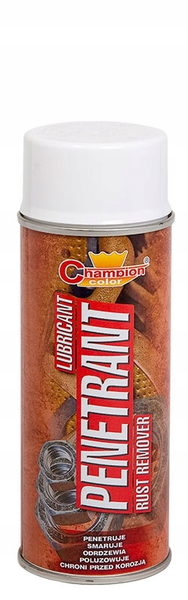 Odrdzewiacz Champion CCPPSS400 400ml zdjęcie 1