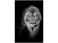 OBRAZ DRUK TIGER IN THE DARK