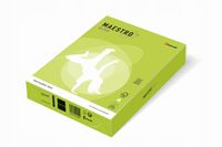 Papier biurowy Igepa format A4 160g 250 arkuszy