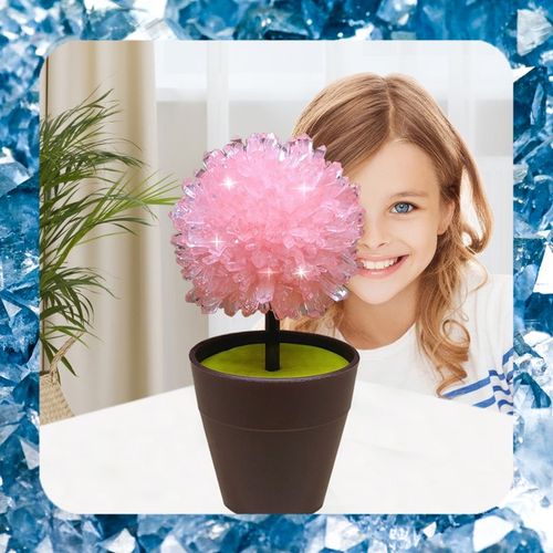 HODOWLA KRYSZTAŁÓW KRYSZTAŁY Eksperyment Edukacyjny 6 Drzewek Zestaw XXL na Arena.pl