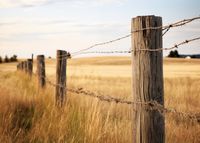 Plakat 70x50cm Płot na Polu