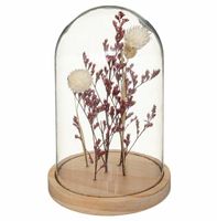 Suszone kwiaty pod kloszem Gypsy