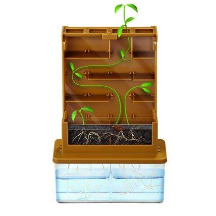 Zielony Labirynt na Arena.pl