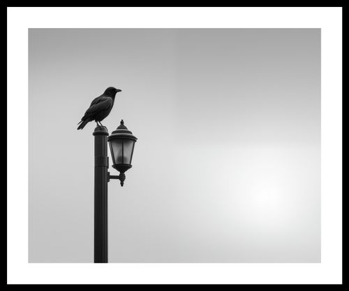 Plakat 50x40cm Samotny Postój Kruka na Arena.pl