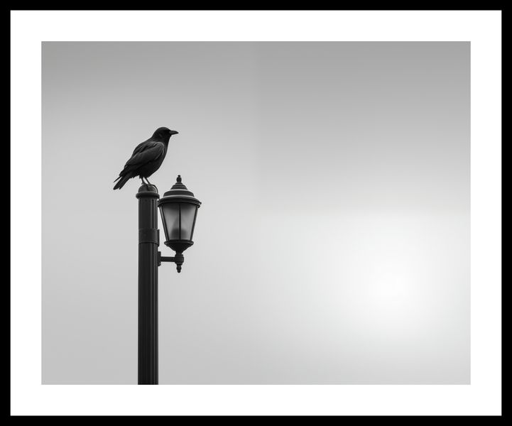 Plakat 50x40cm Samotny Postój Kruka zdjęcie 3