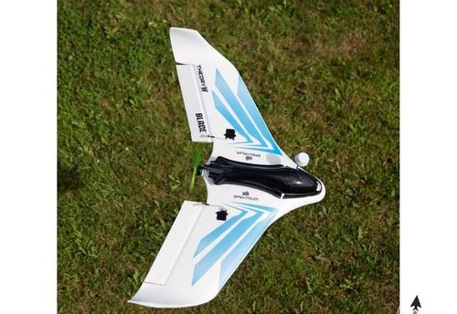 Blade Theory Type W ARF na Arena.pl