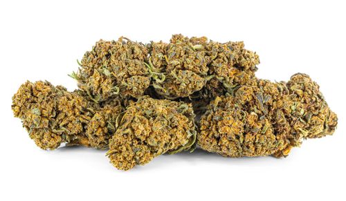 Susz konopny Jack Herer CBD Exclusive Weed 1g na Arena.pl