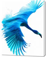 Obraz 70x90cm Błękitny Lot