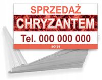 Wizytówki firmowe Foliowane 1000 szt SPRZEDAŻ CHRYZANTEM