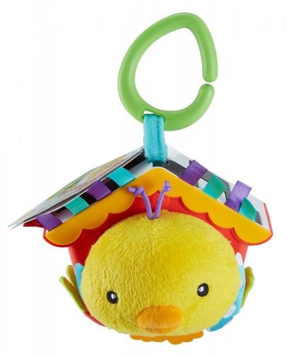 Ptaszek a kuku na Arena.pl