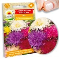 ASTER IGIEŁKOWY WYSOKI MIX KOLORÓW 1 GR NASIONA KWIATY CIĘTE I RABATY