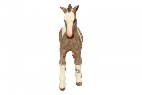 Tinker źrebię na Arena.pl