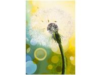 product-compare-58704145