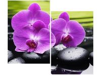 product-compare-58655402